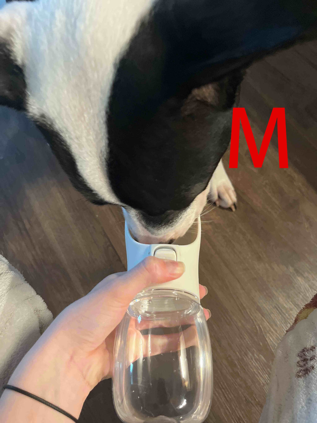 1pc Leak-Proof Portable Dog Water Bottle For Outdoor Adventures