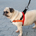 Secure & Comfortable No-Pull Dog Harness - Padded Handle, Easy-Fit Vest for Stress-Free Walks & Training