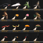 Bimoo 120pcs Wet Dry Nymph Fishing Fly Kit Woolly Buggers Streamers Emerger Worms Bass Trout Grayling Panfish Fishing Lure Bait