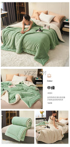 Super Soft Imitation Lambswool Blanket Autumn Winter Double Queen Blankets High Quality Comfortable Milk Fleece Sofa Blanket