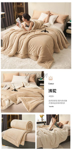 Super Soft Imitation Lambswool Blanket Autumn Winter Double Queen Blankets High Quality Comfortable Milk Fleece Sofa Blanket