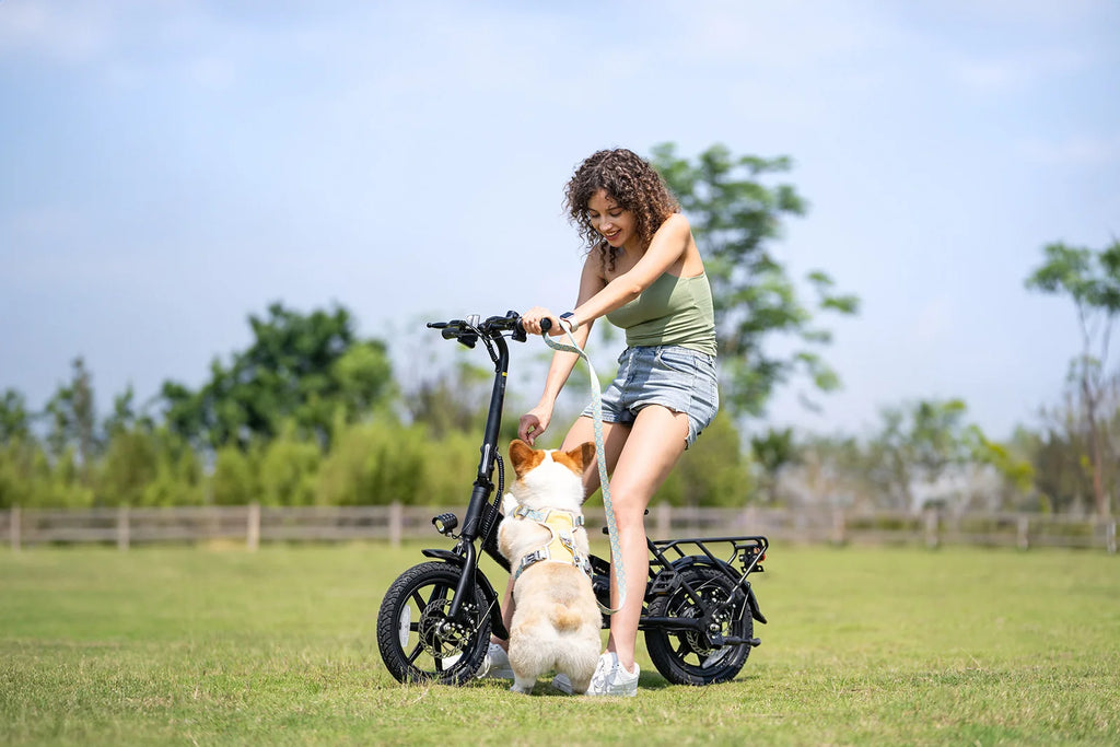 DYU C3 Adult Electric Bicycle, 250W city ebike, 36V 7.5AH E-bike, 14 Tire Foldable Electric Bike