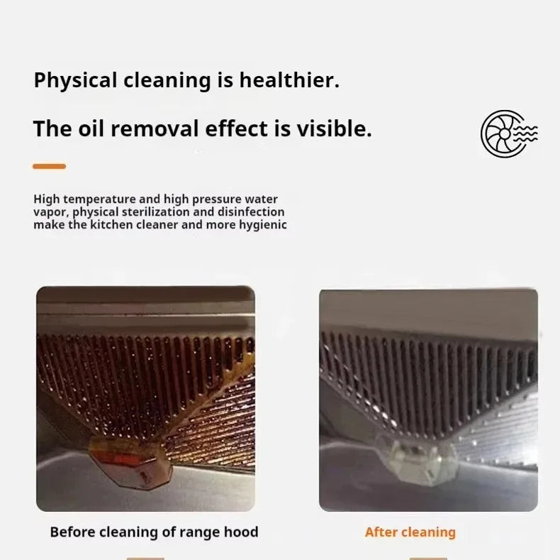 1.2L Steam Cleaner High Temperature Sterilization Air Conditioning Kitchen Hood Home /Car Steaming Cleaner 220V/110V EU/US Plug