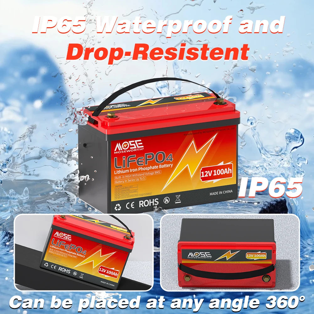 6Ah 10Ah 12Ah 20Ah 30Ah 12V 100Ah LiFePO4 Battery Pack BMS 200Ah 300Ah Lithium Iron Phosphate Rechargeable Battery