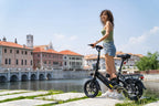 DYU C3 Adult Electric Bicycle, 250W city ebike, 36V 7.5AH E-bike, 14 Tire Foldable Electric Bike
