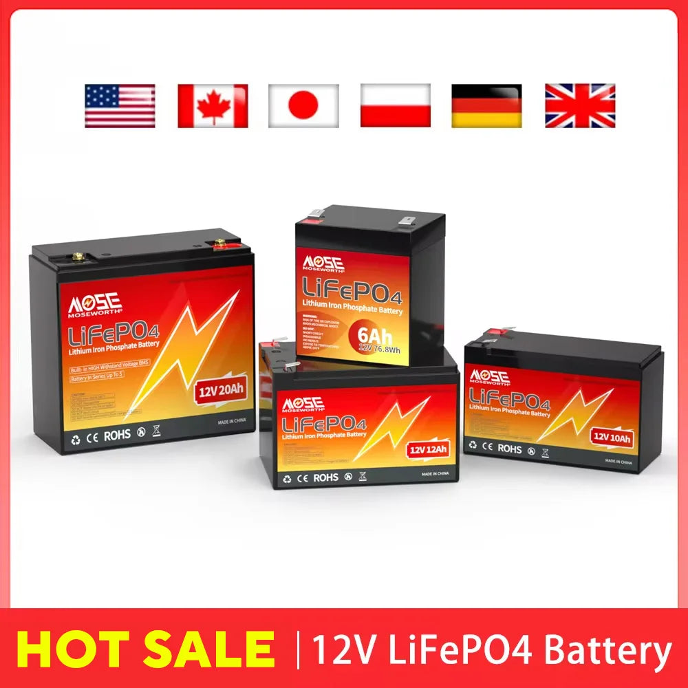 6Ah 10Ah 12Ah 20Ah 30Ah 12V 100Ah LiFePO4 Battery Pack BMS 200Ah 300Ah Lithium Iron Phosphate Rechargeable Battery