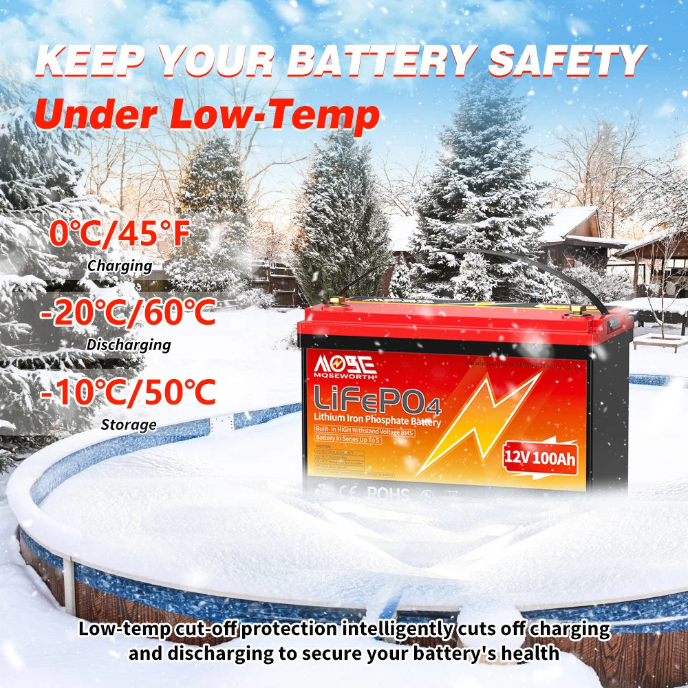 6Ah 10Ah 12Ah 20Ah 30Ah 12V 100Ah LiFePO4 Battery Pack BMS 200Ah 300Ah Lithium Iron Phosphate Rechargeable Battery