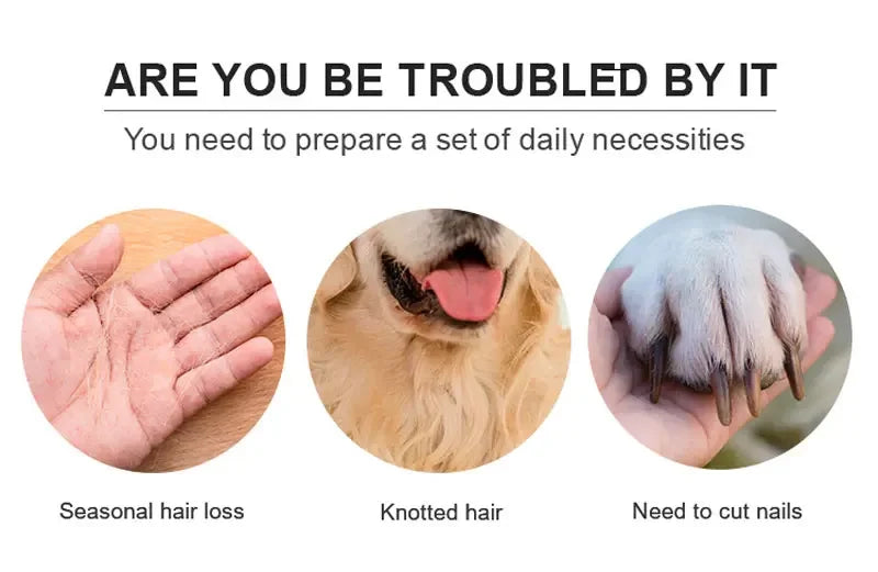 6 in 1 Pet Cat Dog Grooming Deshedding Tools Brush Comb Set Storage Bag Dog Hair Remover Comb Pet Cleaning Supplies Accessories