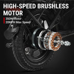 DYU C3 Adult Electric Bicycle, 250W city ebike, 36V 7.5AH E-bike, 14 Tire Foldable Electric Bike