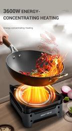 WESTTUNE Outdoor Infrared Combustion Stove Portable Cooking Burner 3600W Gas Stove with Electronic Ignition for Camping Picnic