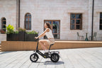DYU C3 Adult Electric Bicycle, 250W city ebike, 36V 7.5AH E-bike, 14 Tire Foldable Electric Bike