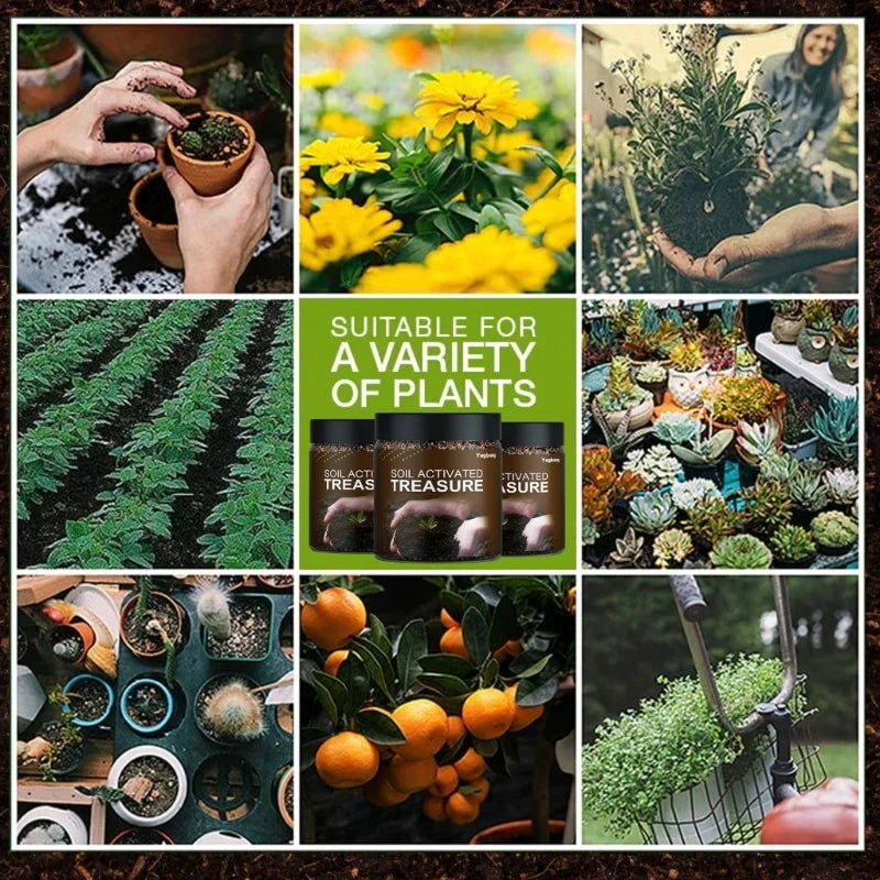 Rooting Plant Flower Activated Mineral Source Prevent Soil Activators Fertilizers Soil Treasure Activators for Garden P15F