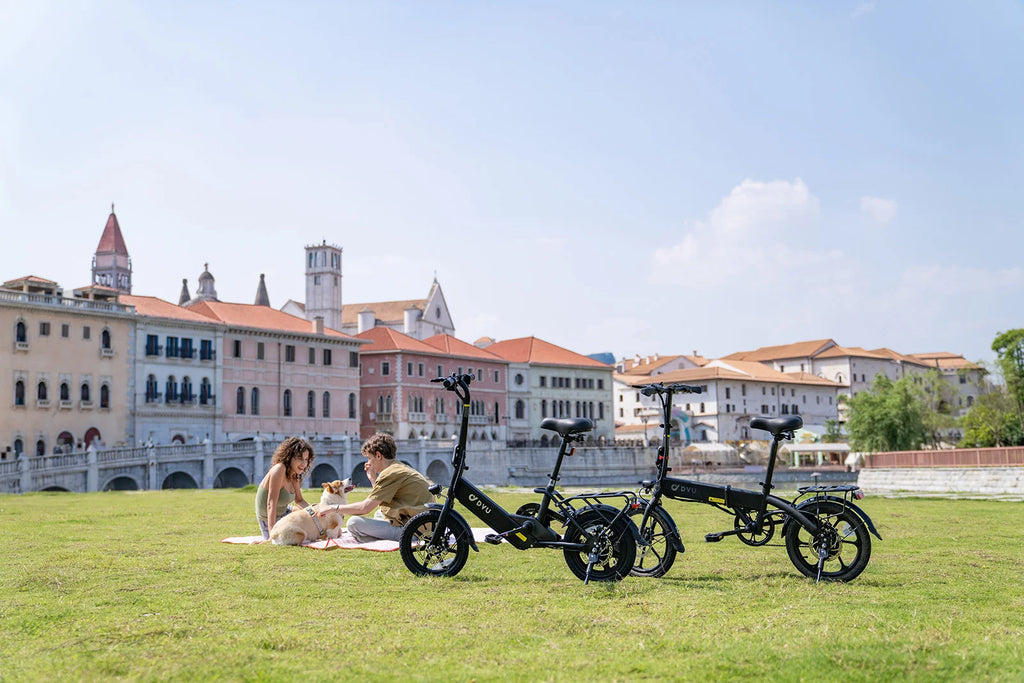 DYU C3 Adult Electric Bicycle, 250W city ebike, 36V 7.5AH E-bike, 14 Tire Foldable Electric Bike