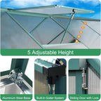 Greenhouse Kit, 10x6 FT Heavy Duty Outdoors Durable Green House with Double Vent Window Lockable Door, Twin-Wall P