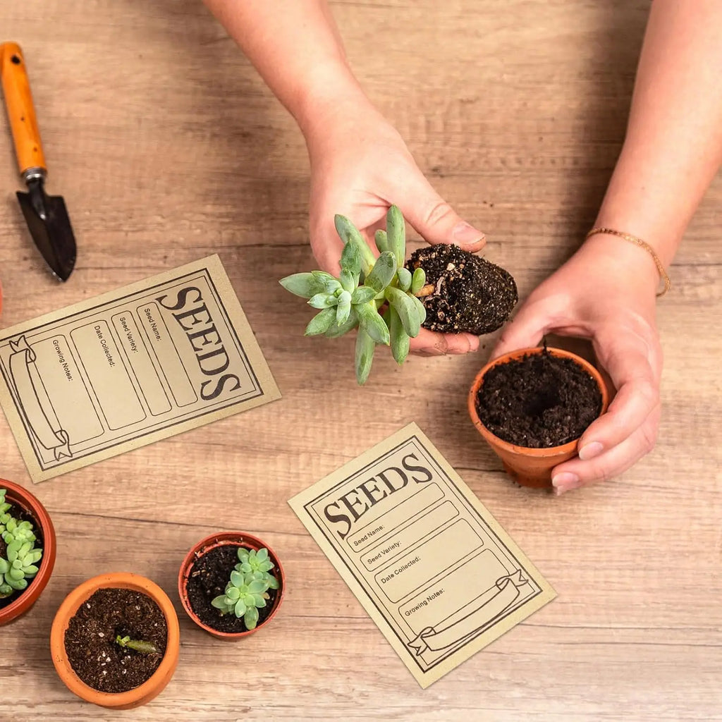 100/200PCS Brown kraft Paper Seed Packets Self-adhesive Storage Seed Coin Bags Envelopes for Plant Flower Vegetable Collection