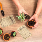 100/200PCS Brown kraft Paper Seed Packets Self-adhesive Storage Seed Coin Bags Envelopes for Plant Flower Vegetable Collection