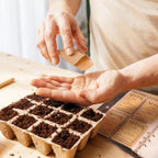 100/200PCS Brown kraft Paper Seed Packets Self-adhesive Storage Seed Coin Bags Envelopes for Plant Flower Vegetable Collection