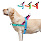 Secure & Comfortable No-Pull Dog Harness - Padded Handle, Easy-Fit Vest for Stress-Free Walks & Training